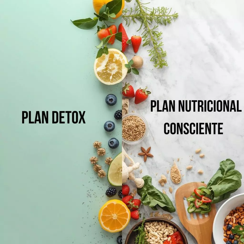 Comida saludable meal prep en recipientes — plan semanal Medellín